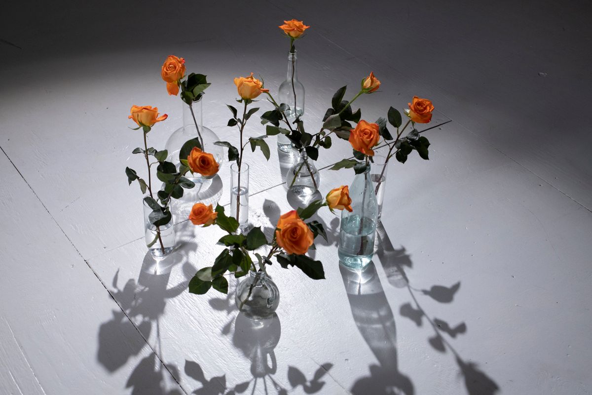 Artistic arrangement of orange roses in glass vases casting shadows on the floor.