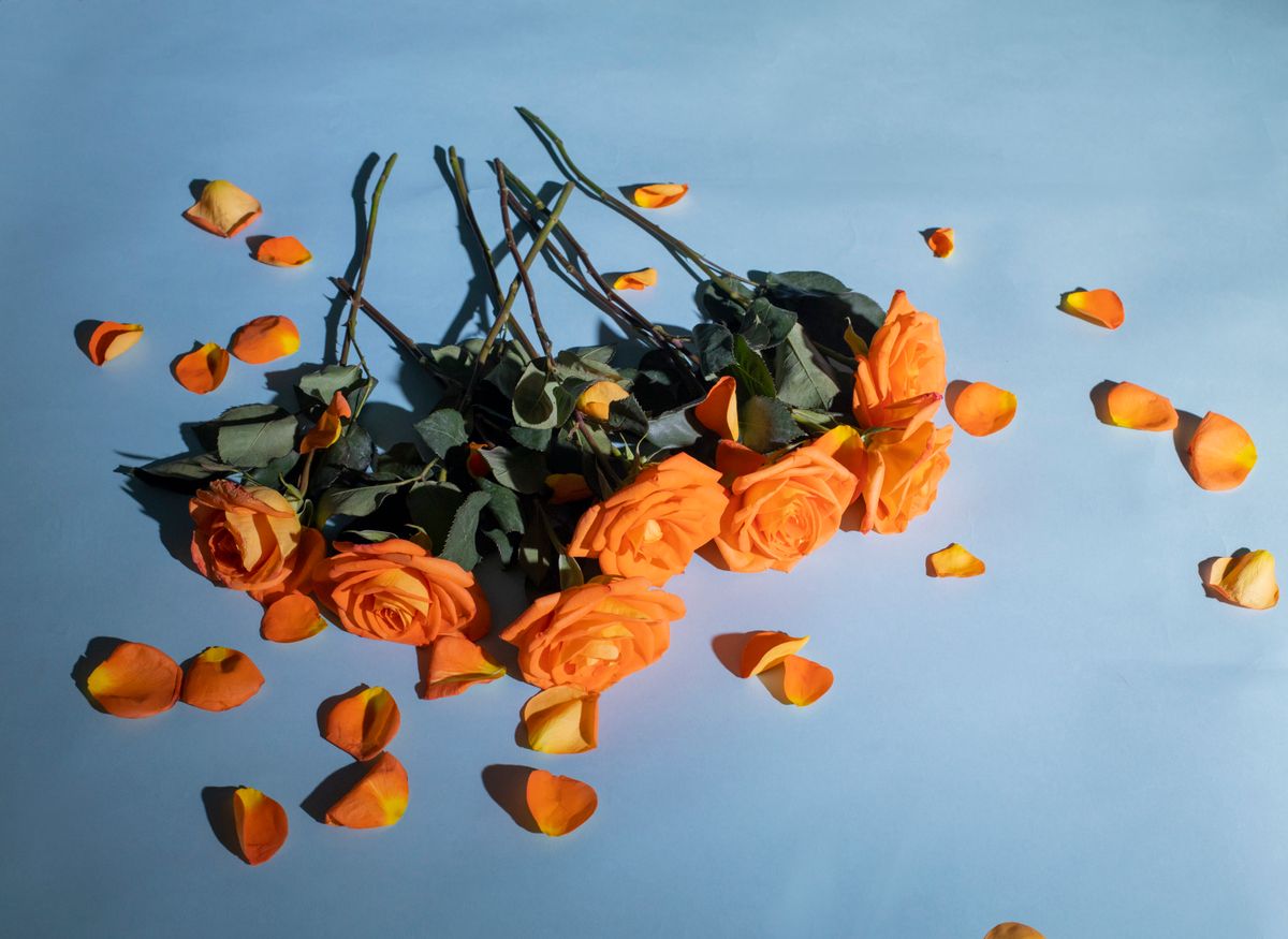 A vibrant arrangement of orange roses and petals scattered on a blue surface, creating a striking still life composition.