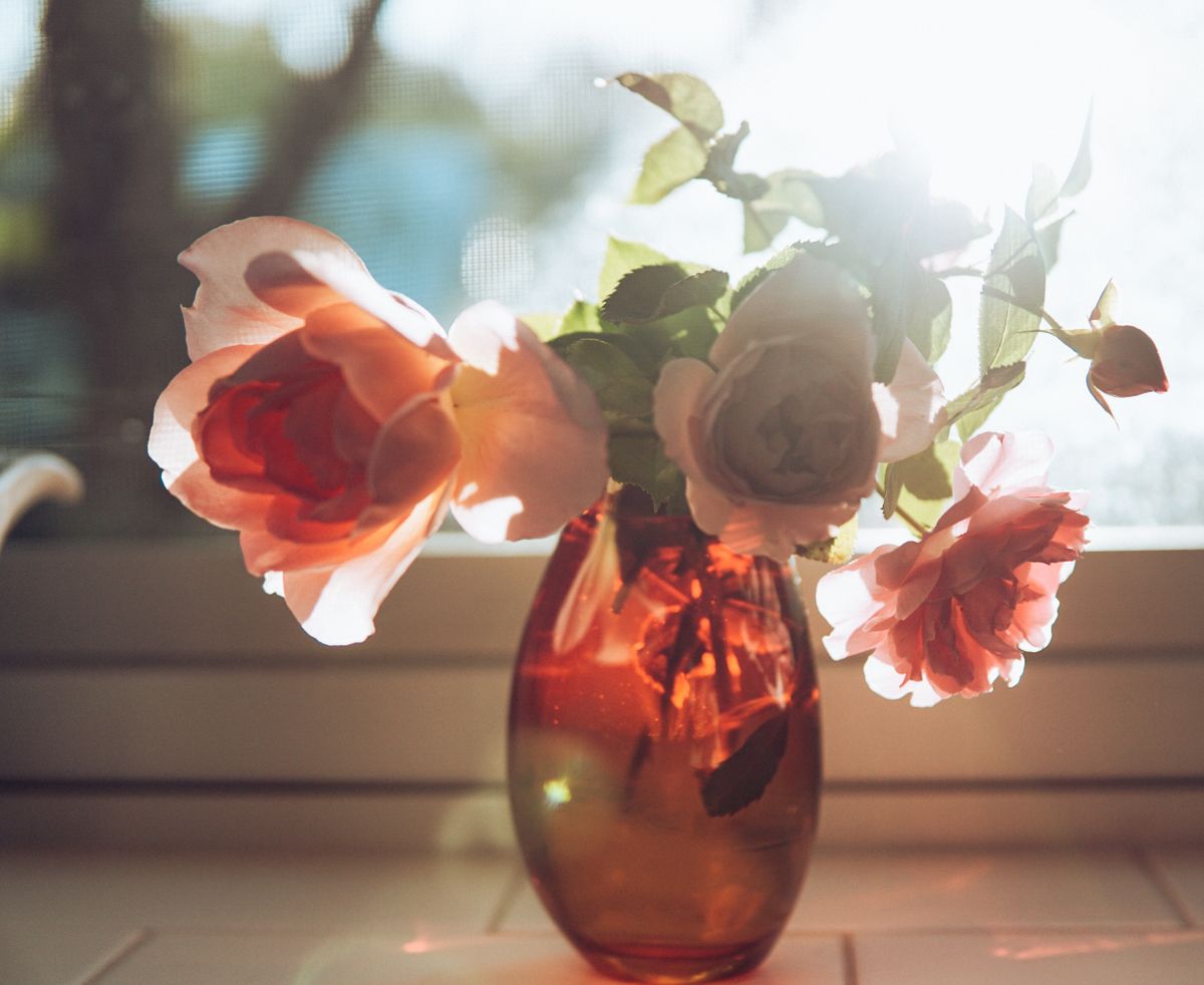 A delicate arrangement of roses in a vase illuminated by warm sunlight through a window.