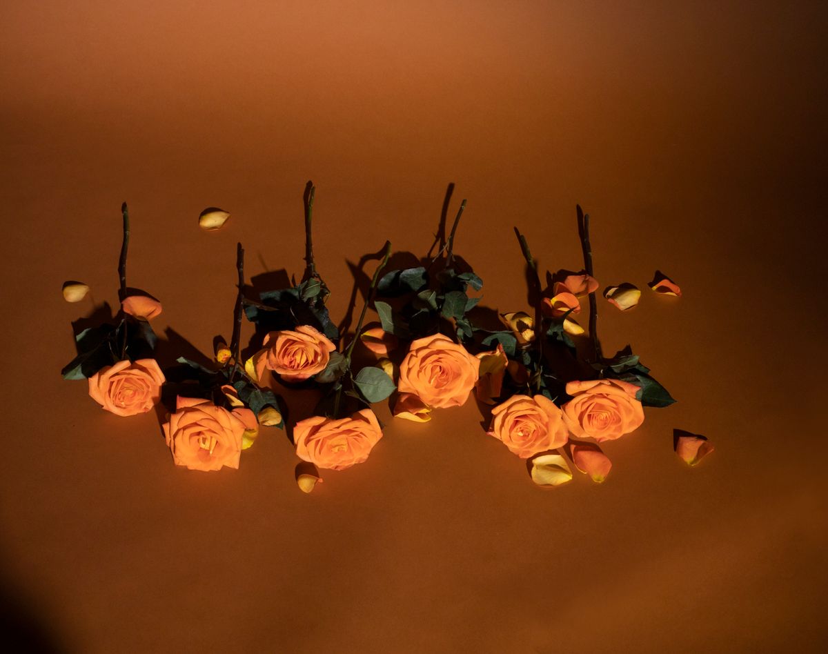 Artistic arrangement of blooming orange roses against a warm backdrop, captured from above.