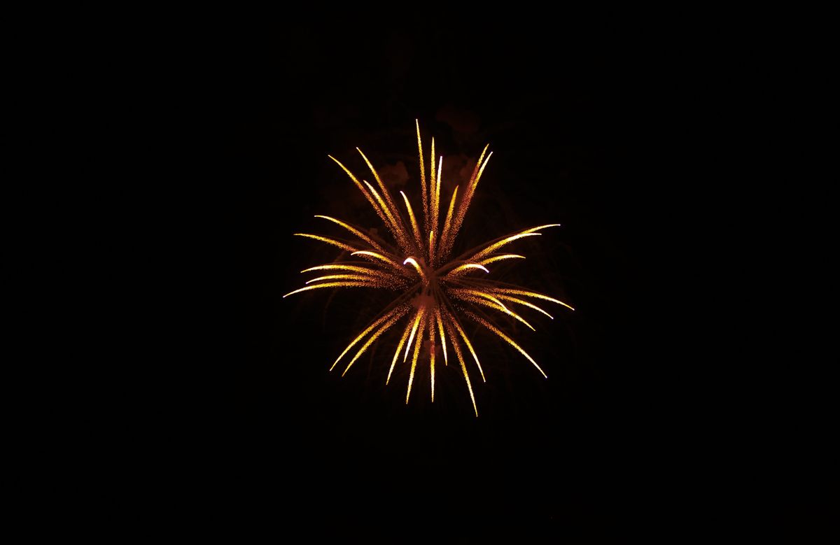 A stunning display of fireworks lighting up the night sky with vibrant colors.