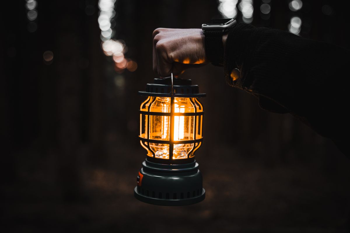 A warm lantern light breaking the darkness of a forest, held by a hand.