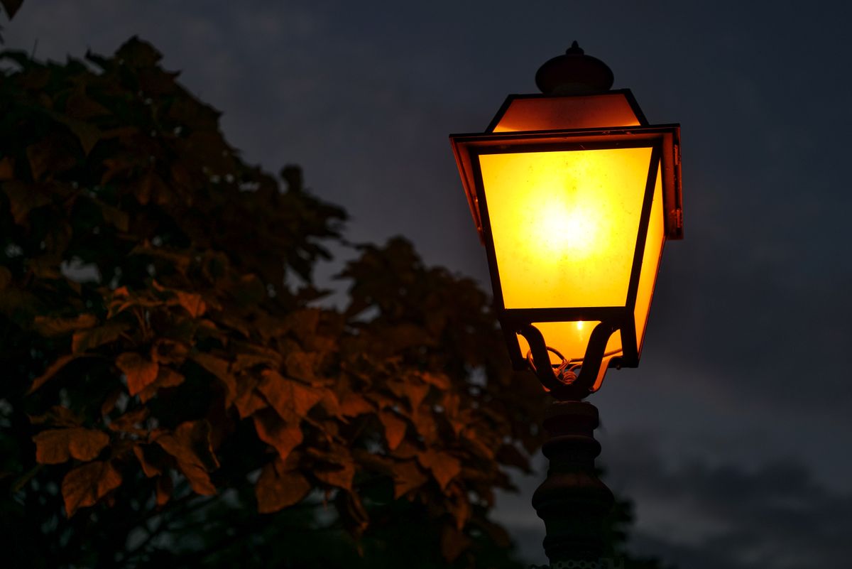 A warm glowing street lamp with surrounding tree leaves in a serene evening setting.