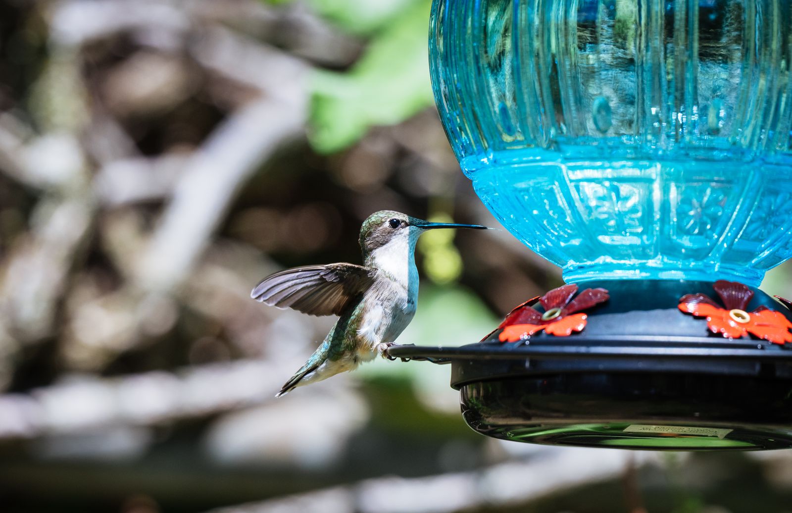 Seasonal Care for Artisan Glass: How to Protect and Clean Your Glass Feeder All Year