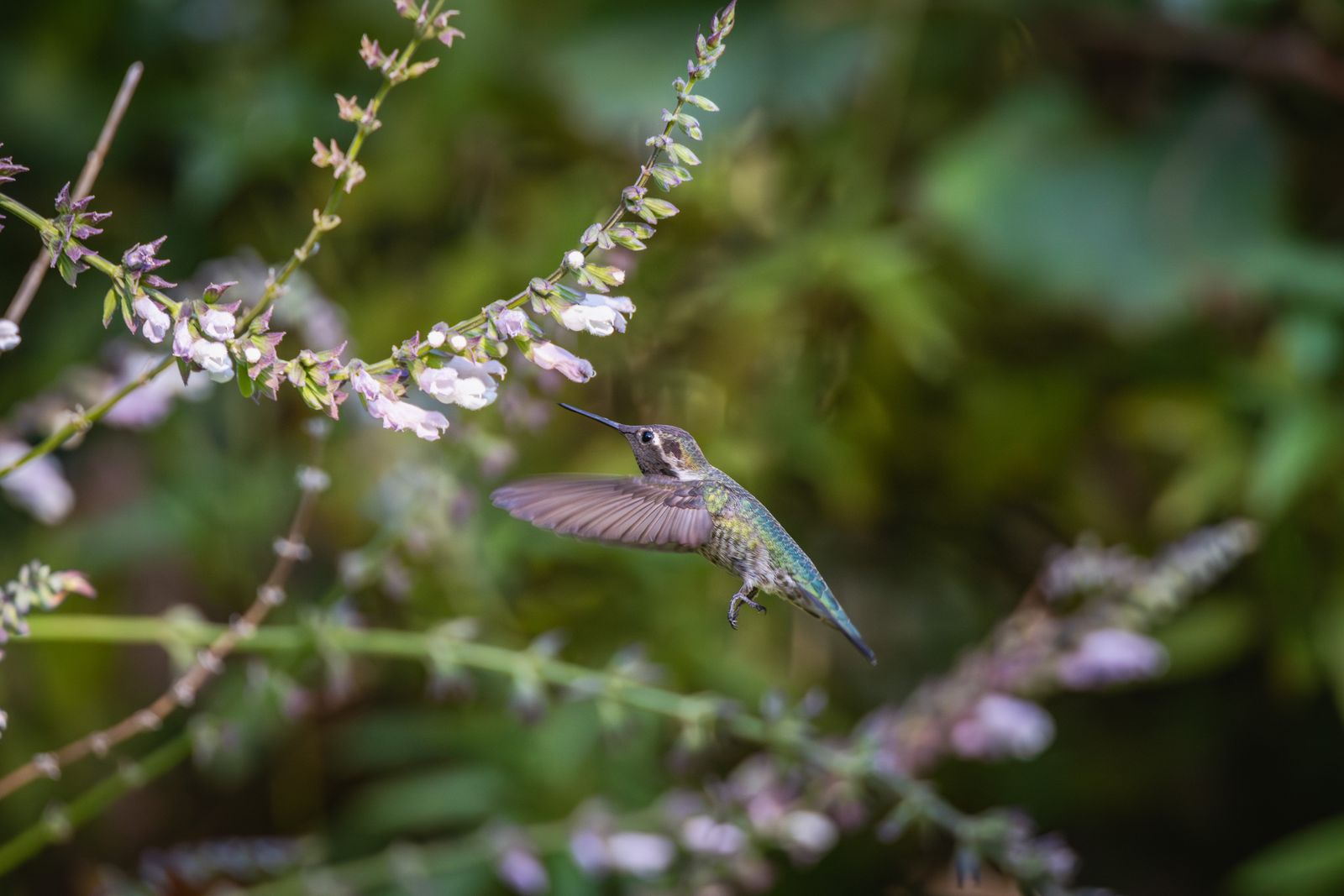 Troubleshooting Pest Barriers: Keeping Wasps Away Without Blocking Solar Lights