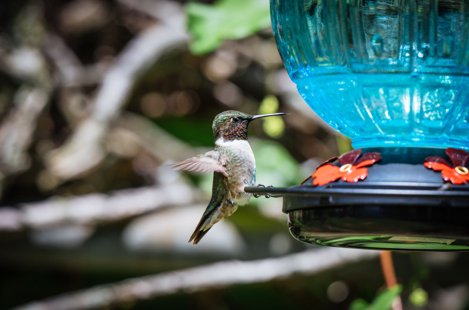 The Science of Glow: How 2,300-Degree Hand-Blown Glass Amplifies Nighttime Solar Light