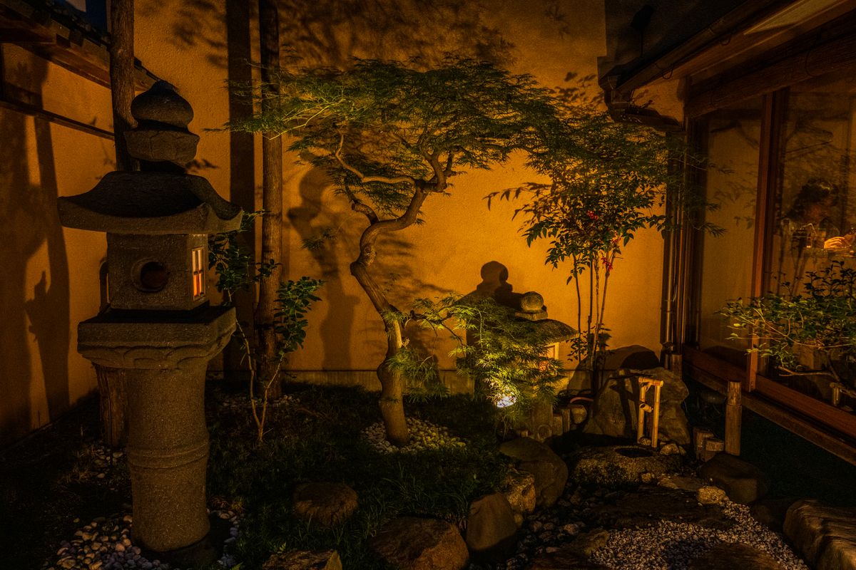 Night scene of a tranquil Japanese garden with a stone lantern, showcasing shadows and vibrant foliage.