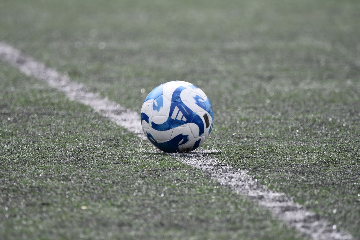 Close-up of a blue and white soccer ball resting on a lined green turf field.