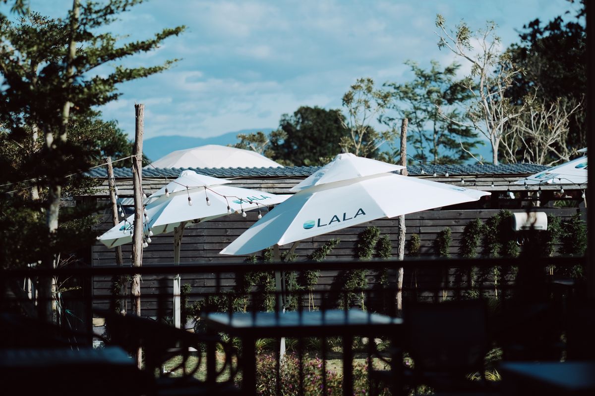Peaceful outdoor garden with white umbrellas and wooden fences under blue skies.