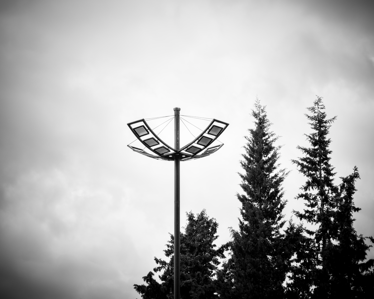 Monochrome photo of a modern solar street light and trees.