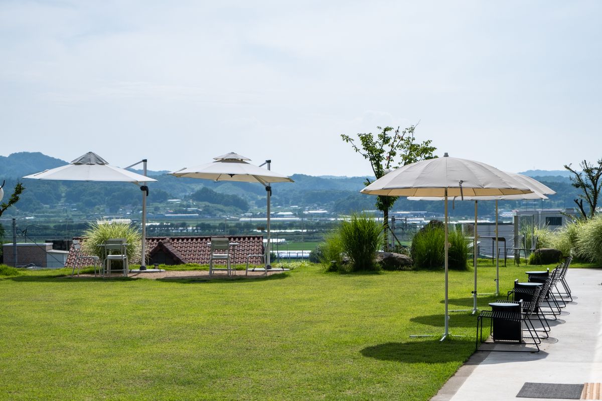 Scenic outdoor resort patio with umbrellas and mountain backdrop.