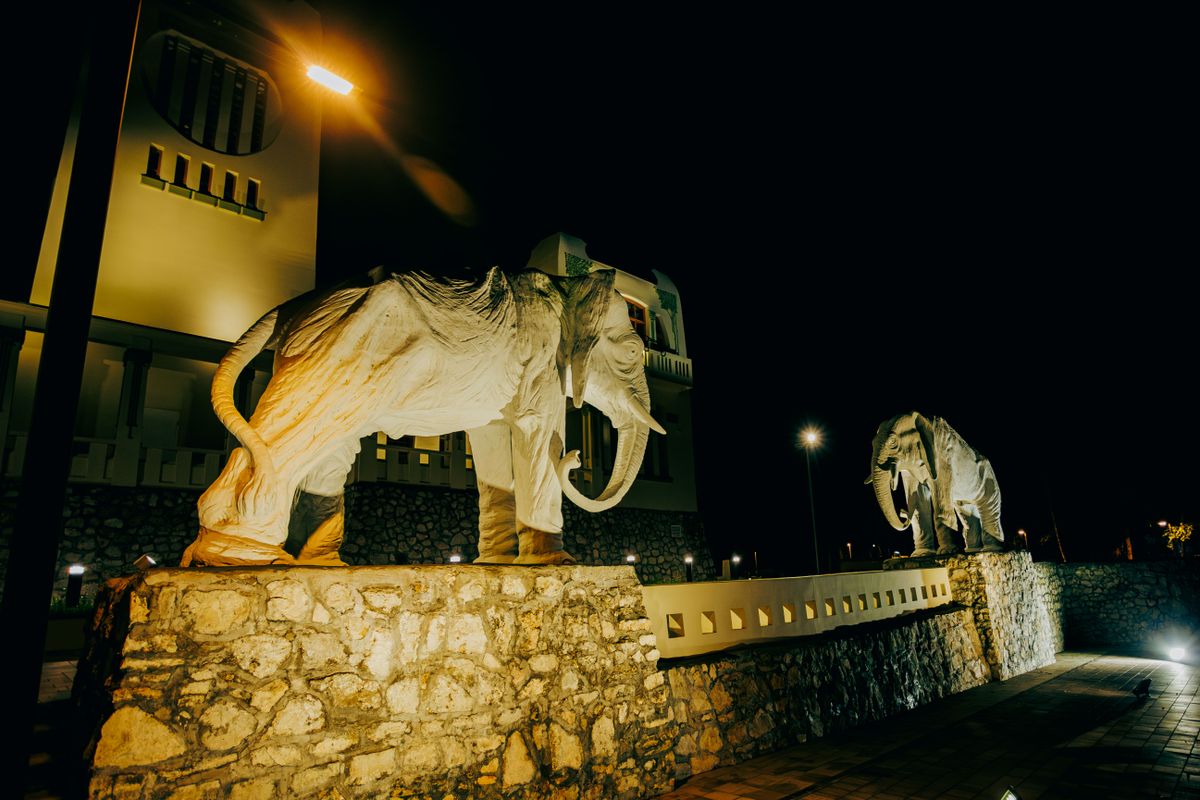 Majestic elephant statues illuminated against a dark night sky, creating a captivating scene.