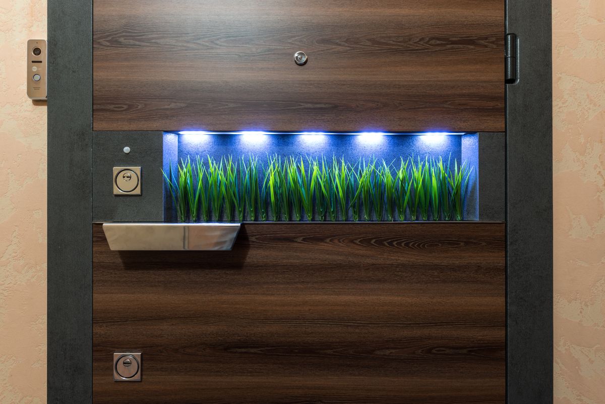 Wooden door with lock and metal handle near creative decorative green vegetation under bright illumination in light room of modern apartment
