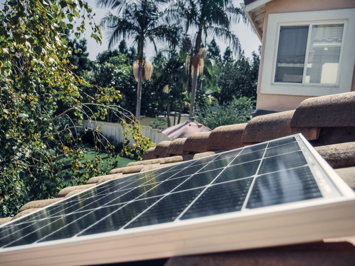 Solar panel on a tiled roof with palm trees in a sunlit backyard, showcasing clean energy.