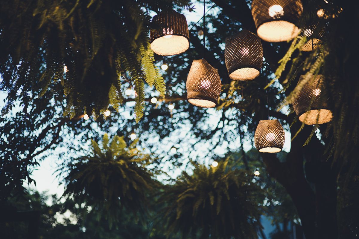 Hanging lanterns illuminate a garden evening with lush fern surroundings.