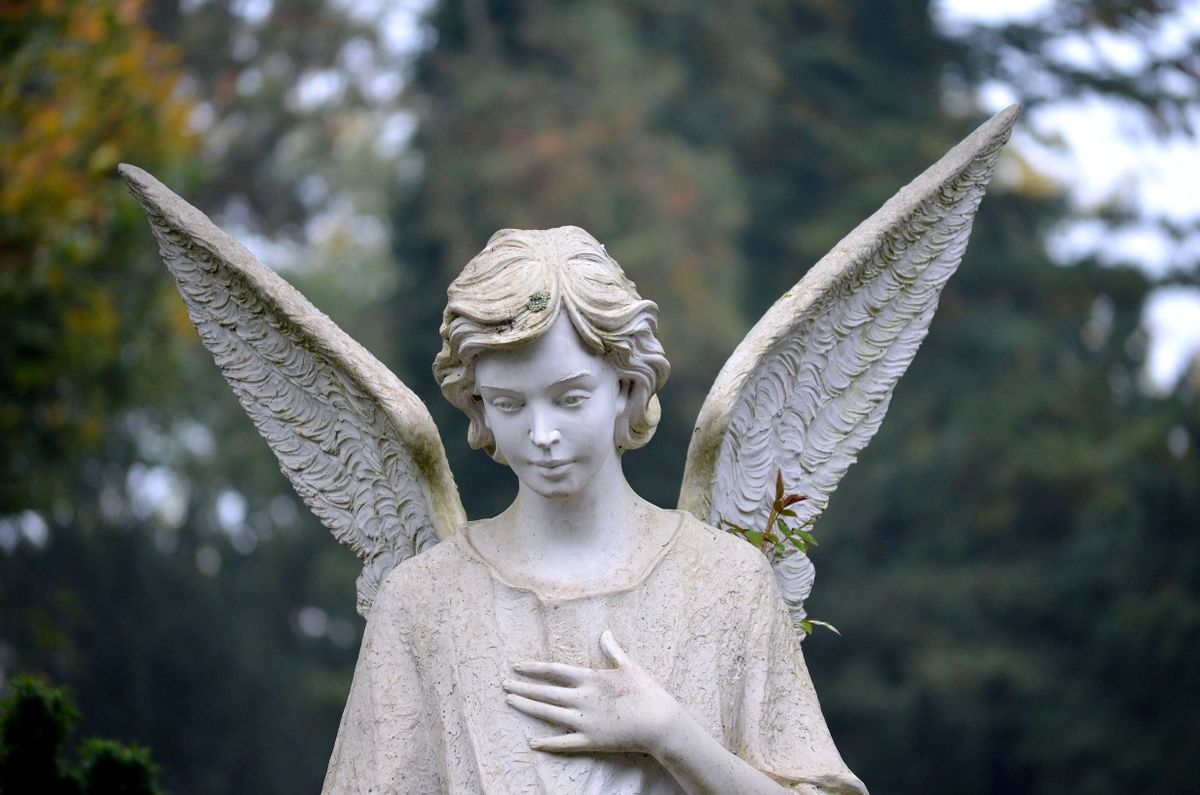A serene angel statue with detailed wings in a peaceful outdoor garden setting.