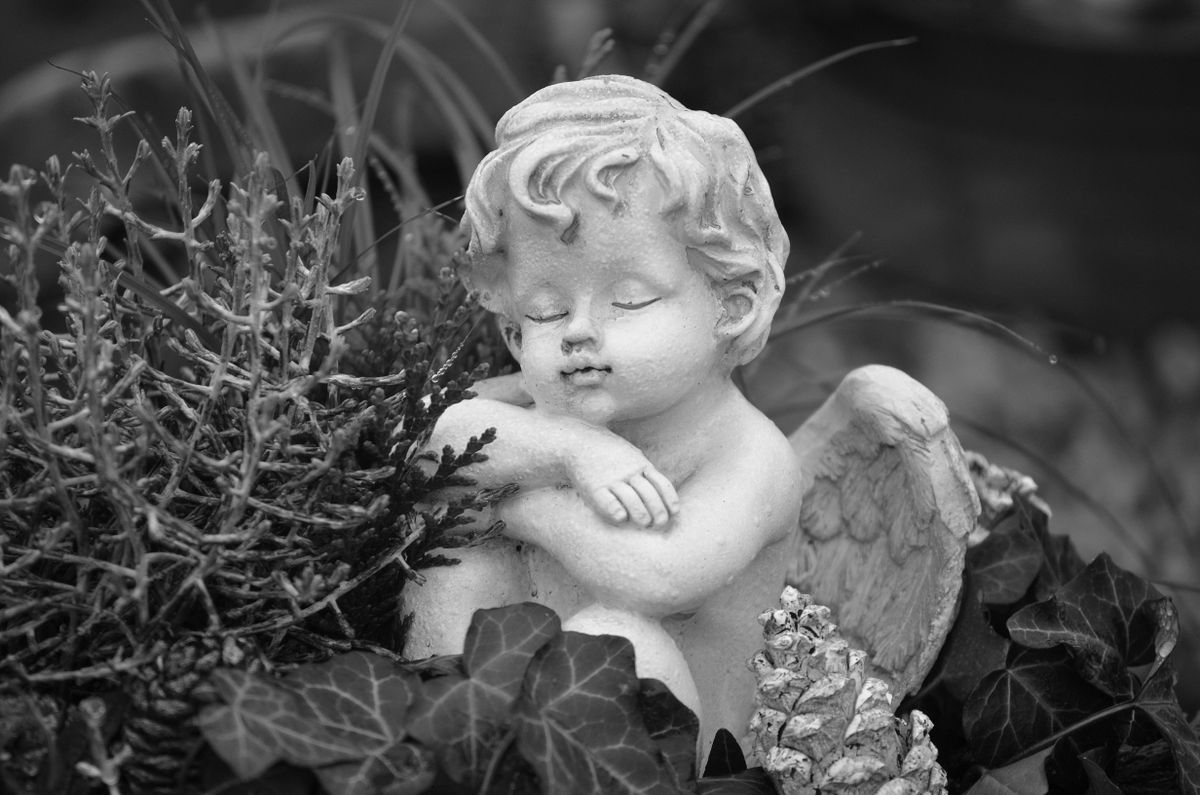 Serene garden angel statue surrounded by greenery in black and white.
