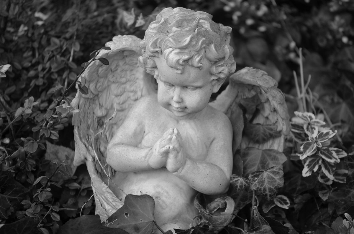 Black and white photo of a stone angel statue in an outdoor garden with foliage.