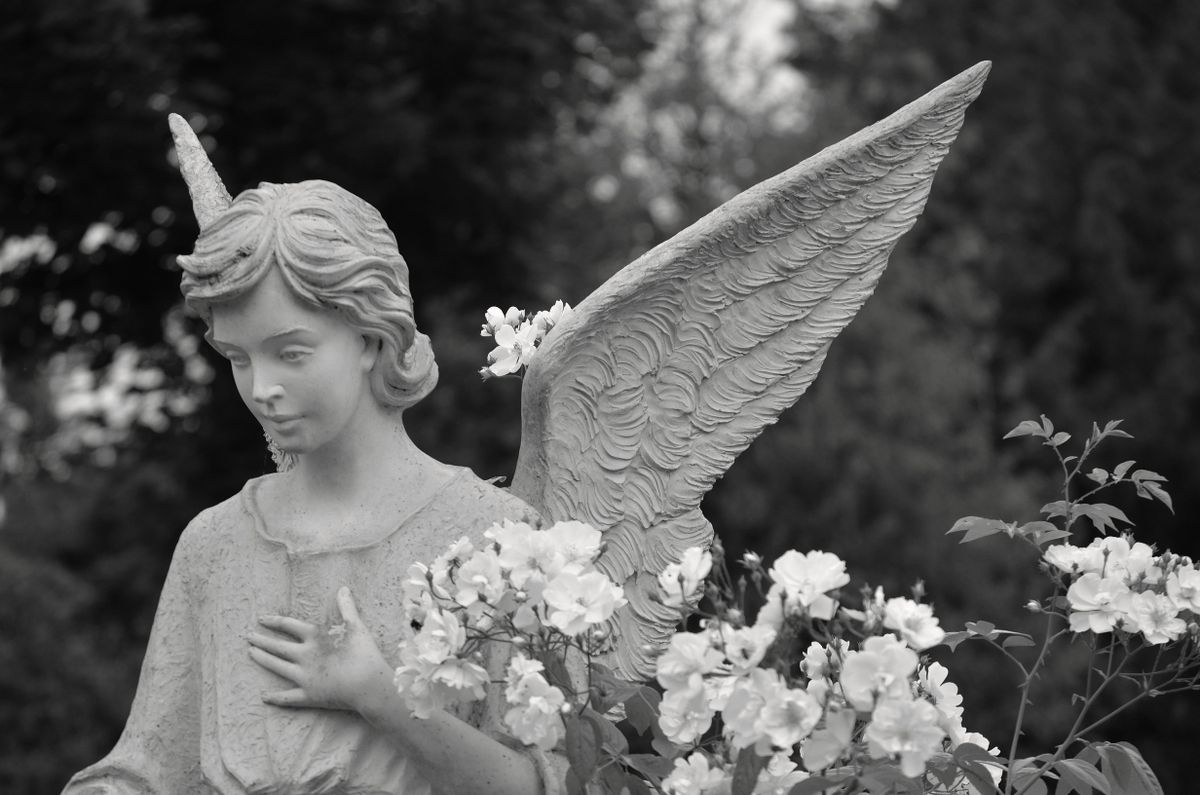 Grayscale photo of a stone angel statue surrounded by blooming flowers in a serene garden.