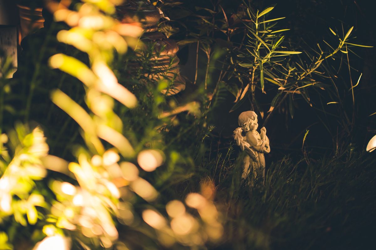 Peaceful garden scene with angel statue amidst foliage at night. Soft lighting creates a serene atmosphere.
