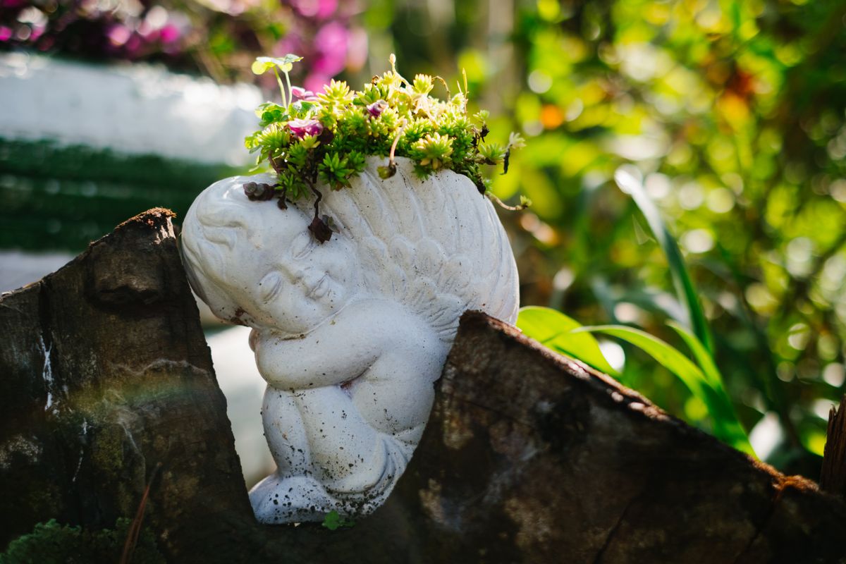 A decorative angel statue planter filled with green succulents in a sunny garden setting.
