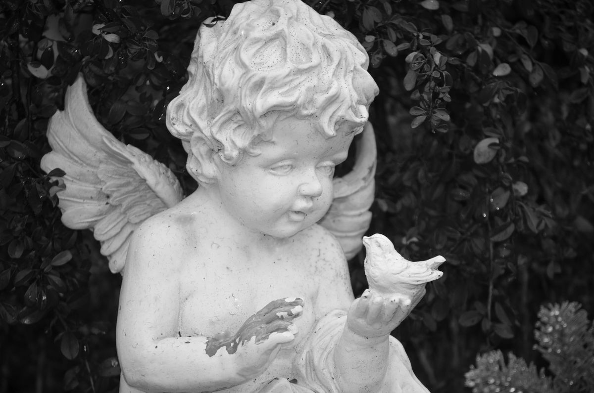 Black and white image of an angel statue holding a bird, set against foliage.