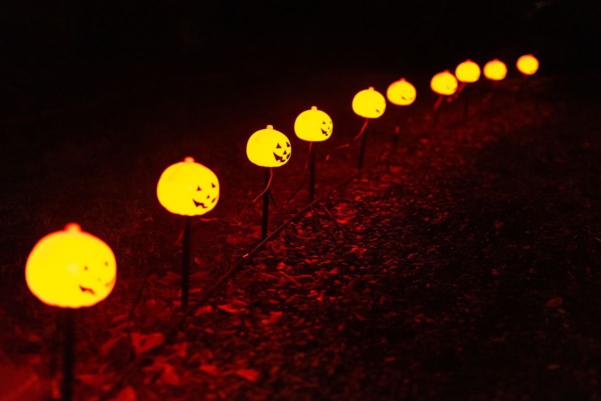 A row of glowing Halloween pumpkin lights illuminating a path at night.