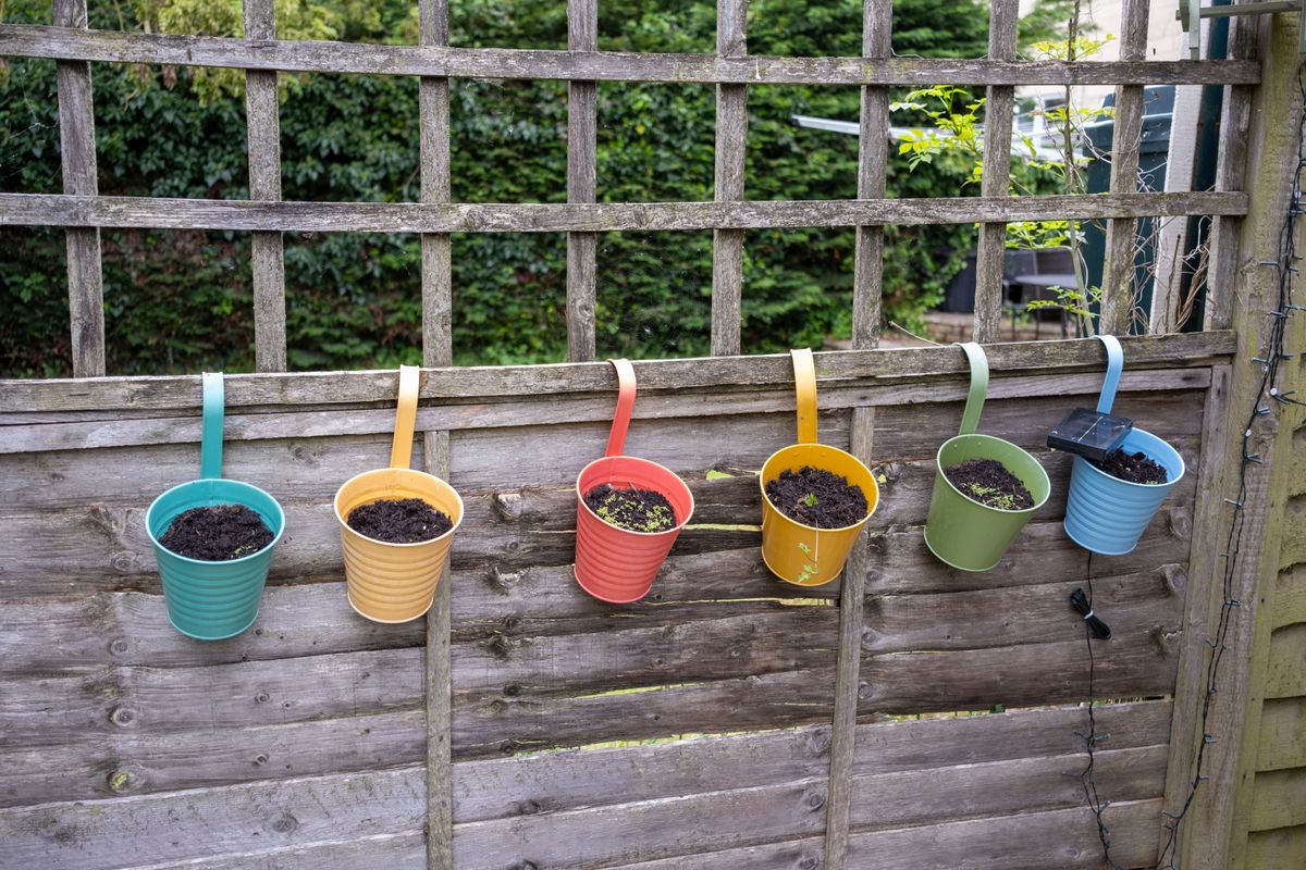 Vibrant hanging pots with soil on a wooden fence in a garden, creating a cheerful outdoor scene.
