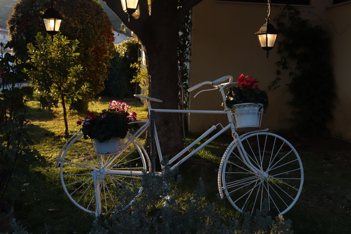 A charming white bicycle adorned with flower baskets, set in a serene garden under warm lighting.
