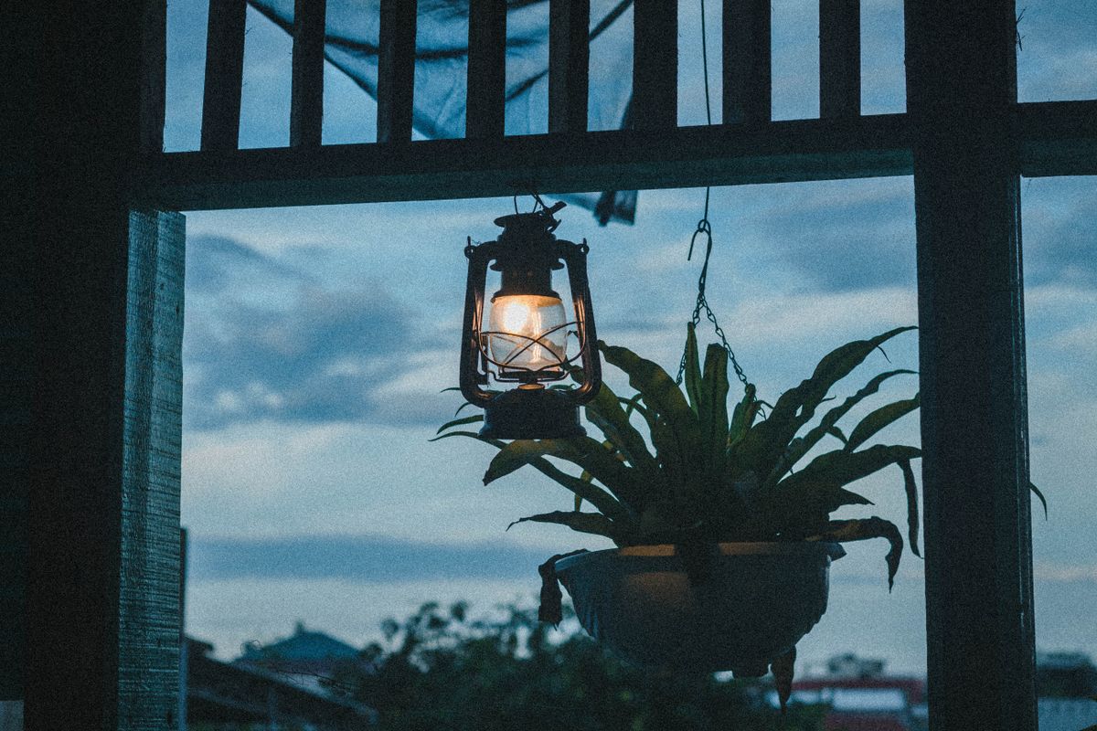 A cozy scene of a hanging lamp and potted plant at dusk, viewed from indoors.