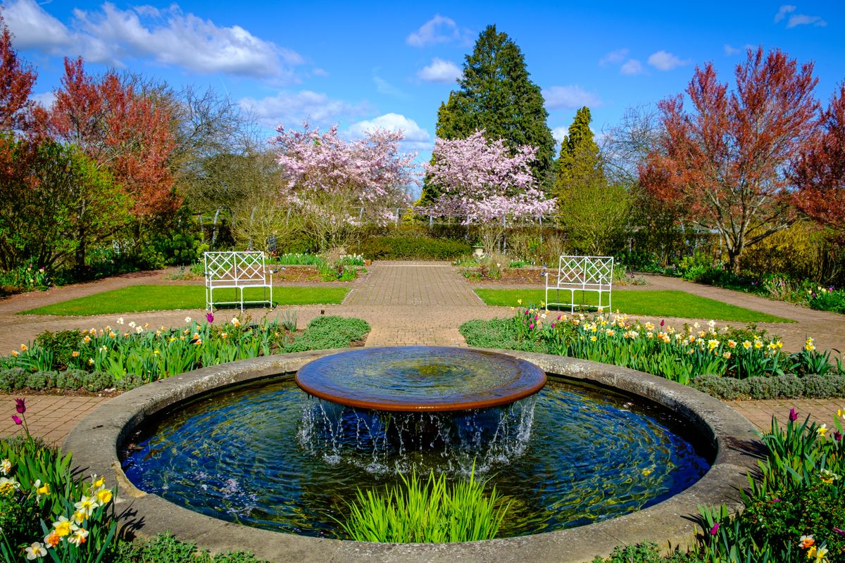 A beautifully landscaped garden in spring featuring a central fountain surrounded by cherry blossoms and vibrant flowers.