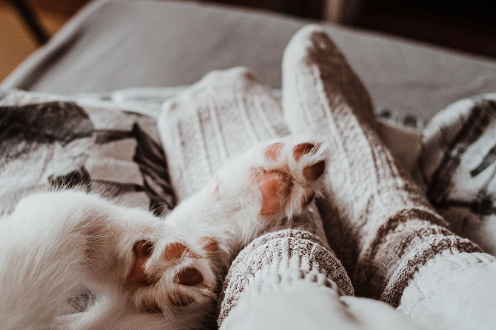 Summer Slipper Warmth & Airflow Guide: Staying Cozy Without Overheating
