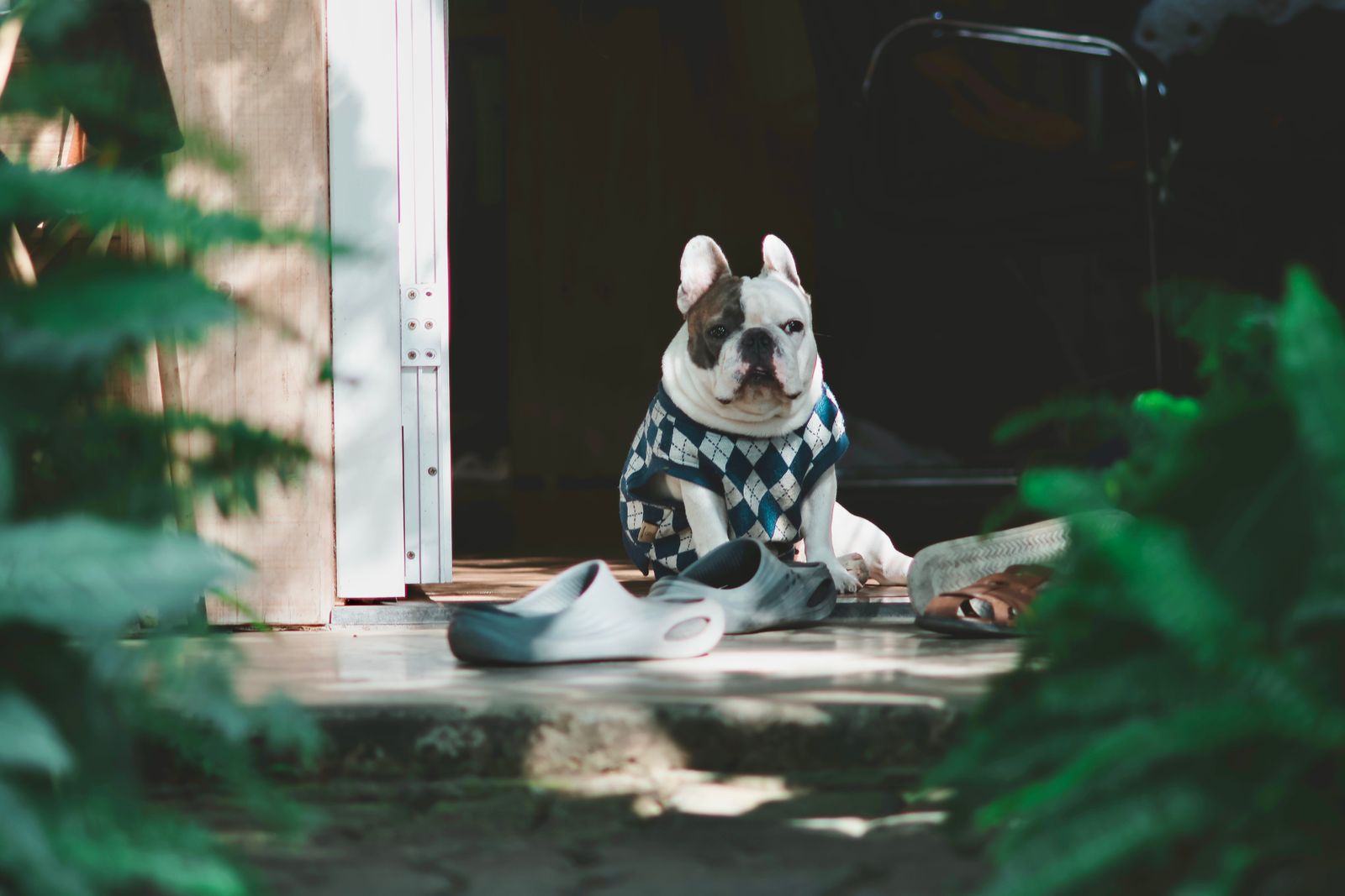 How to Get Smell Out of Plush House Slippers: Natural Odor Remedies