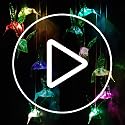 Hummingbird lights for patio and lawn