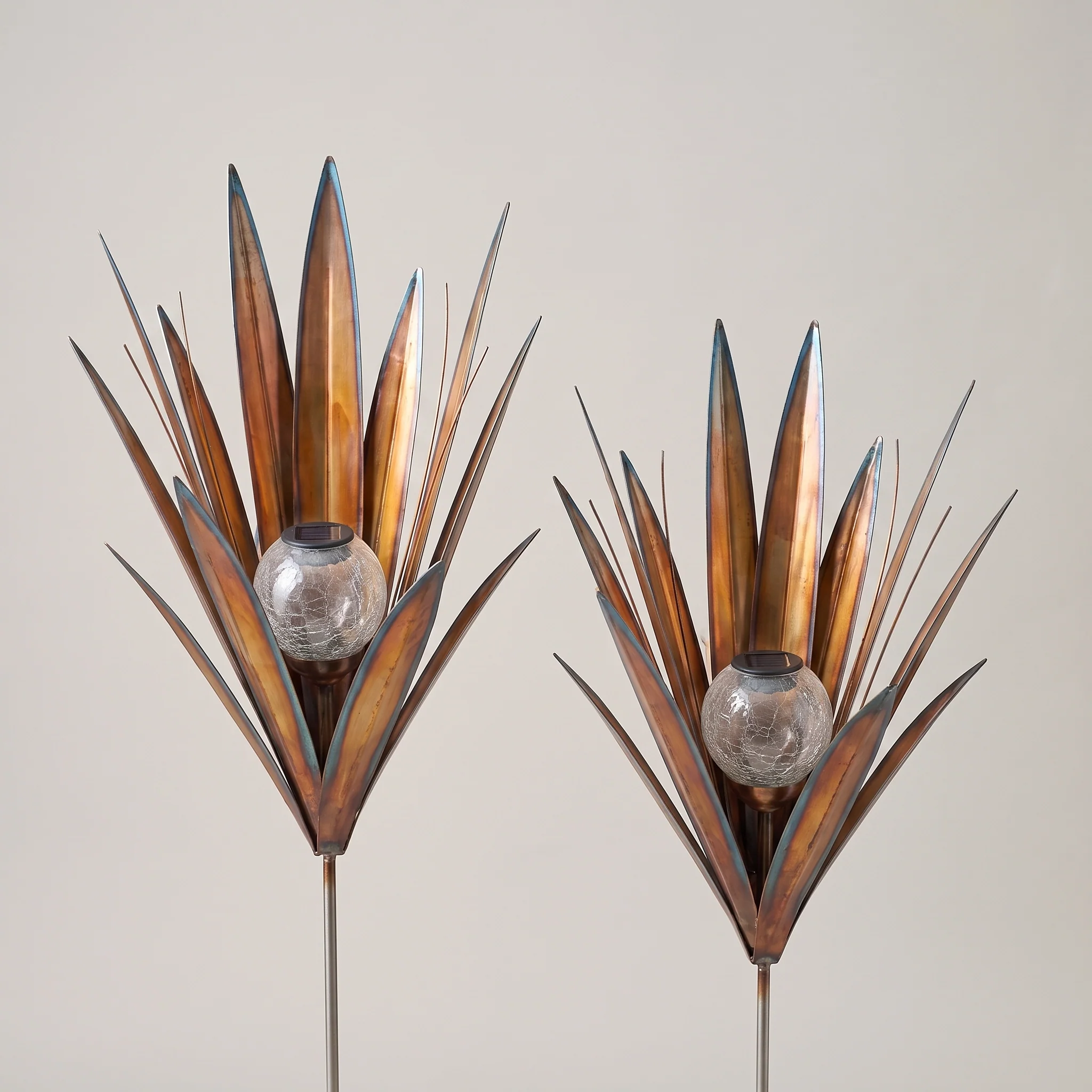 Solyra Agave 2