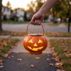 Solyra Pumpkin Decor 5