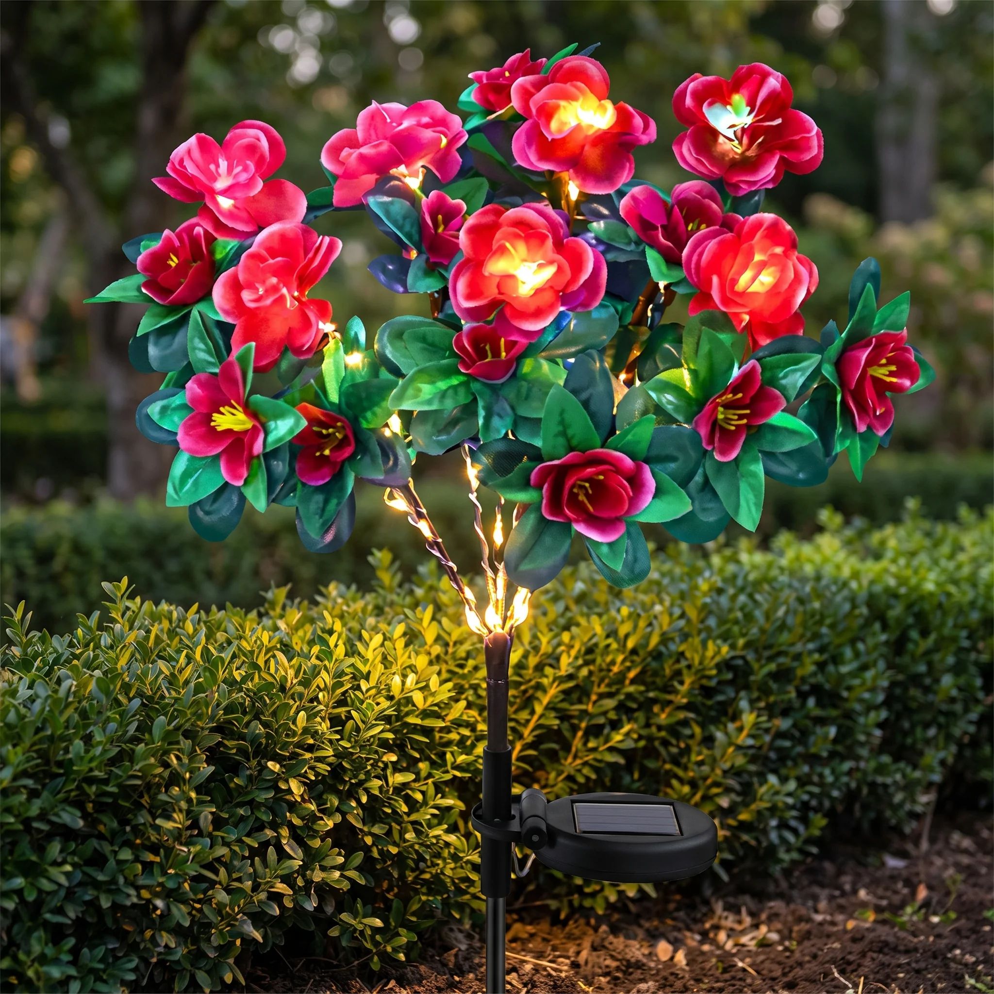 Solyra Azalea 4