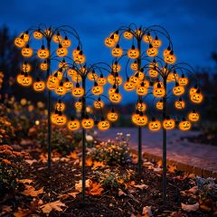 Solyra Pumpkin Lume 1