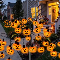 Solyra Pumpkin Lume 3