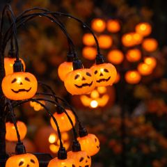 Solyra Pumpkin Lume 4
