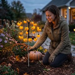 Solyra Pumpkin Lume 5