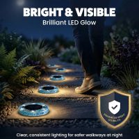 Thumbnail of light on grass