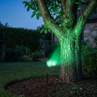 Smart solar spotlight washing a tree trunk in green color at dusk