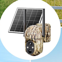 Camera and solar panel