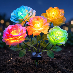 Single stake with five blooms