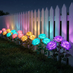 Rose lights in the garden
