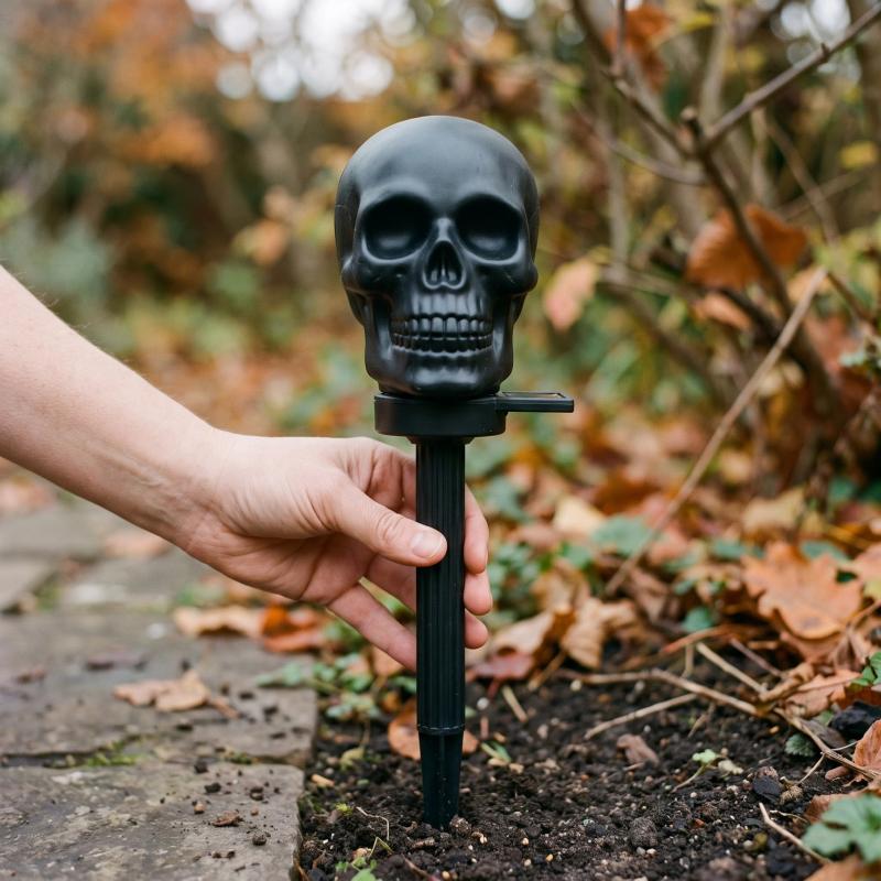 Skull torch shown in scale along a path