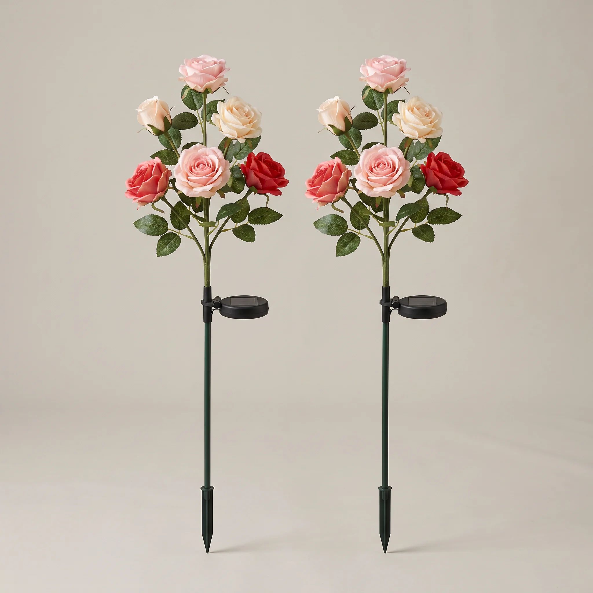 Solyra Glow Roses 2
