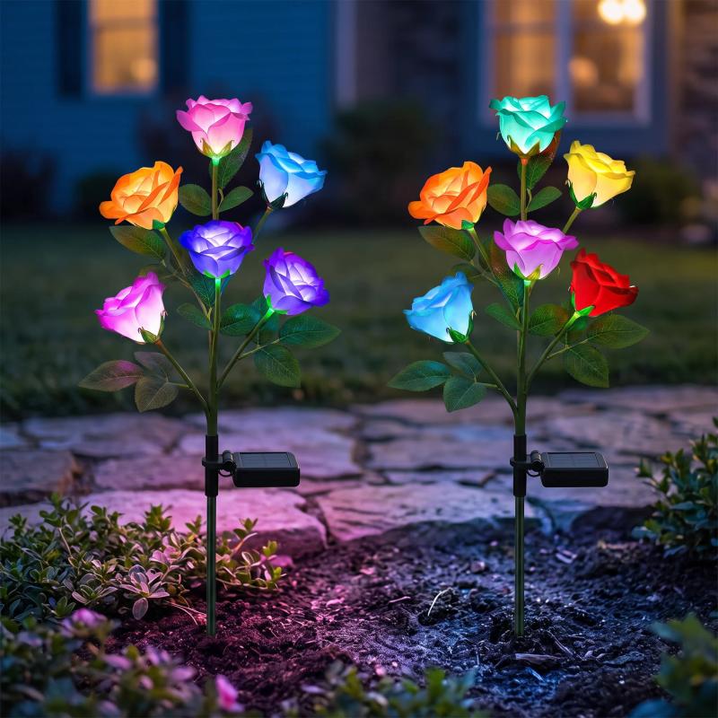 Solyra Glow Roses