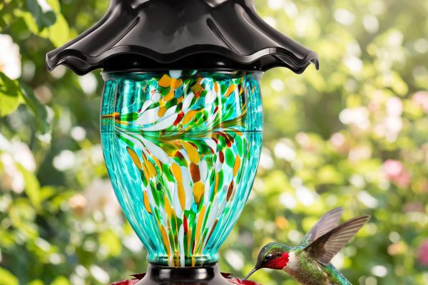 Hummingbird feeding at the glass feeder in a garden